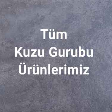 Tüm Kuzu Gurubu